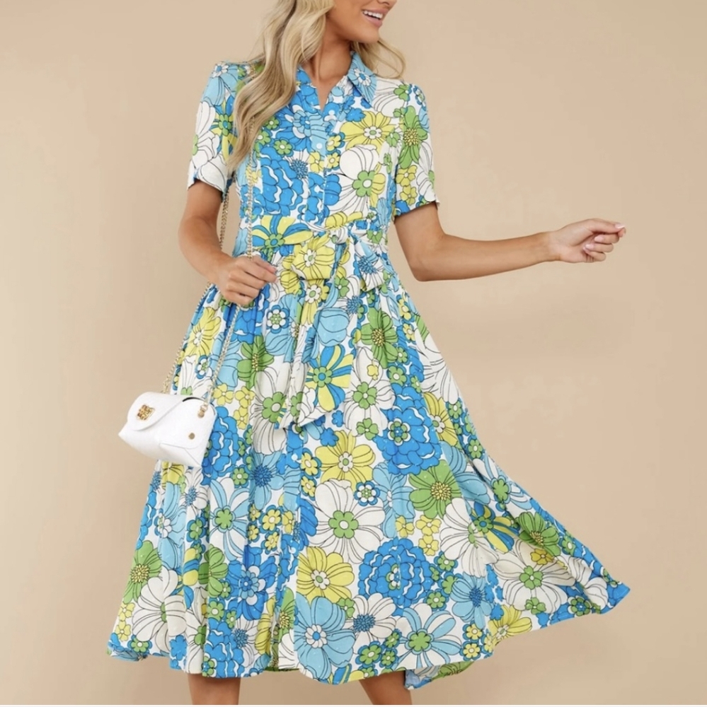 Groovy Dress - Picture 2 of 2